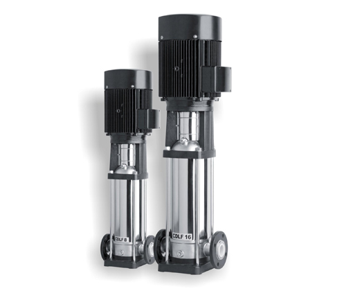 ���P�����ˮ��|CDLF��...